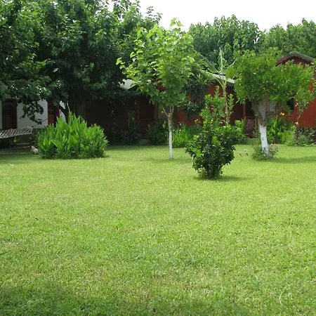 Hotel Alibaba Çıralı