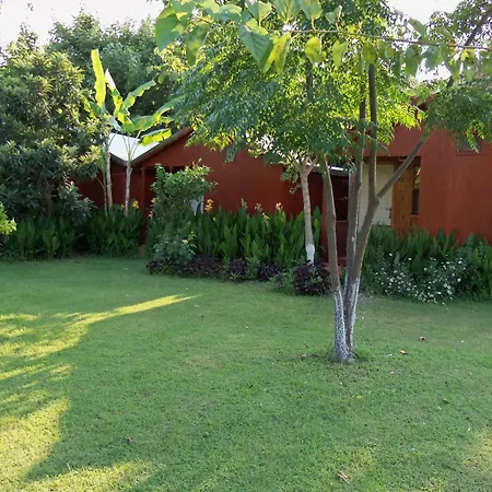 Hotel Alibaba Çıralı