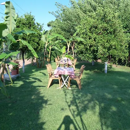 Hotel Alibaba Çıralı