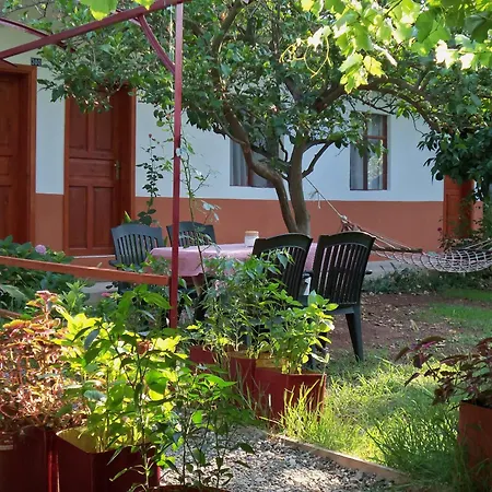Hotel Alibaba