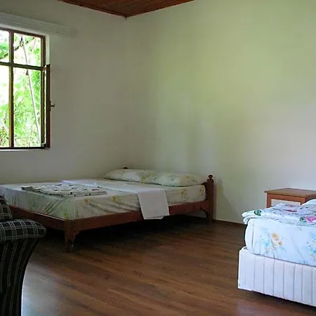 Hotel Alibaba *