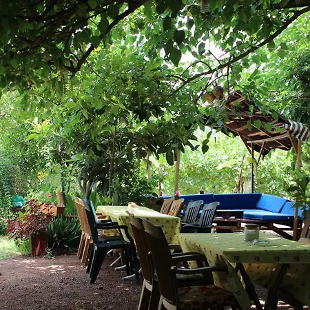 Alibaba Hotel Çıralı