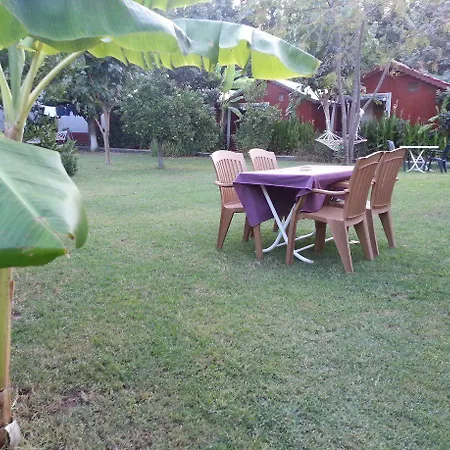 Hotel Alibaba Çıralı