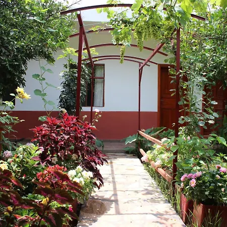 Hotel Alibaba Çıralı